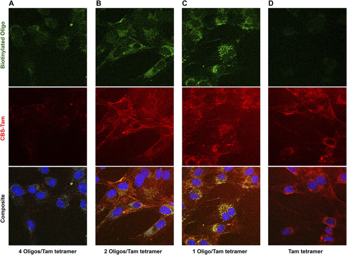 FIGURE 4