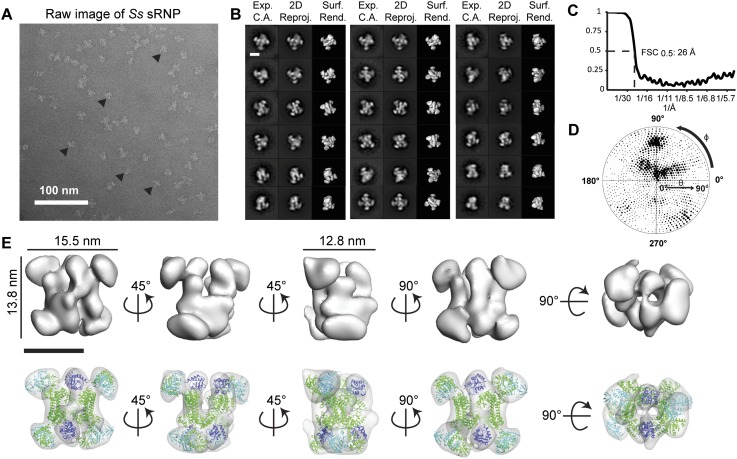 FIGURE 4.