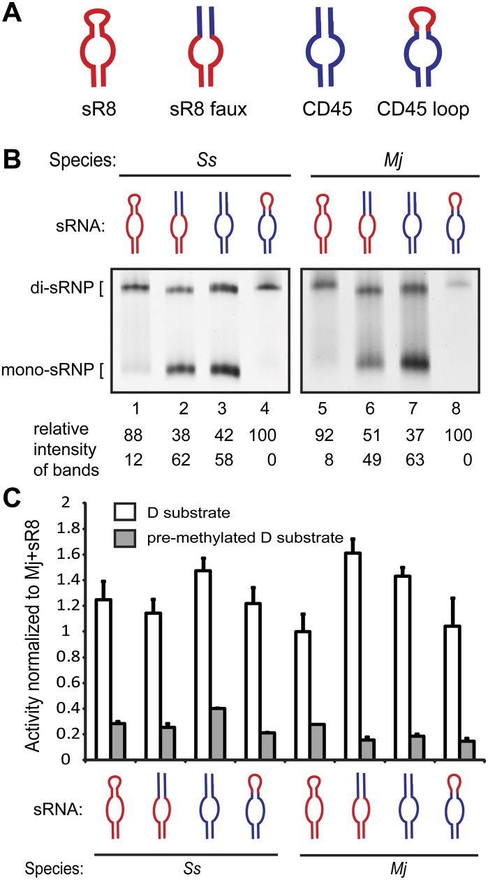 FIGURE 2.