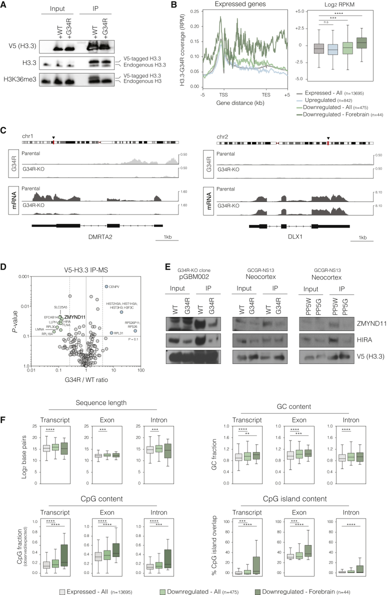 Figure 6