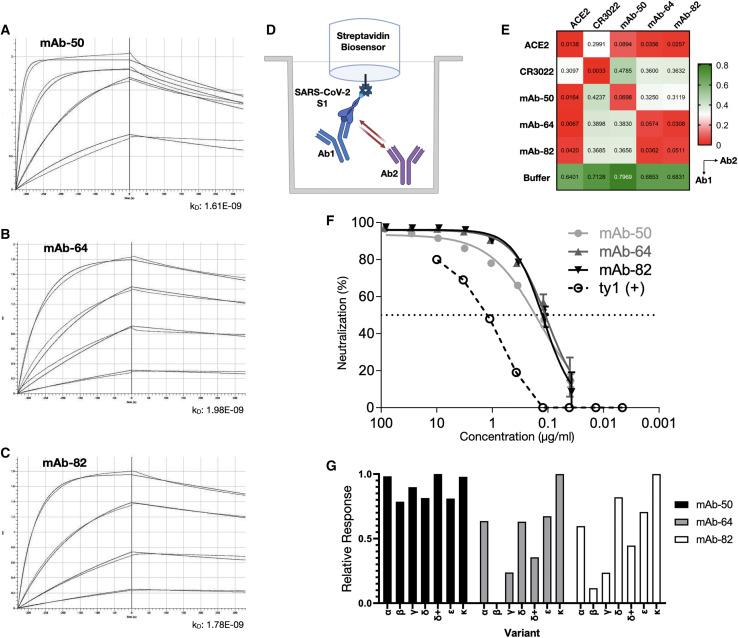 Figure 6