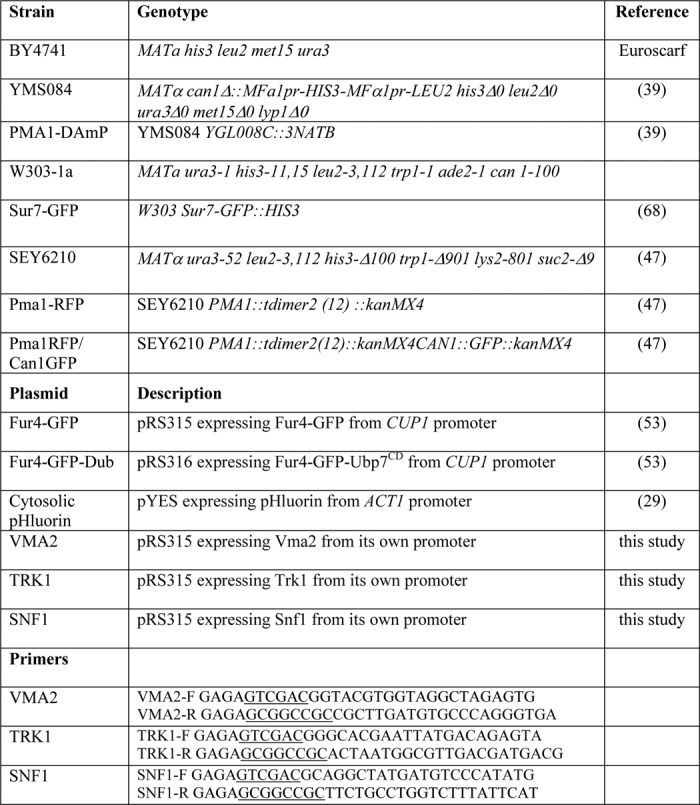 graphic file with name zbc014134283t001.jpg