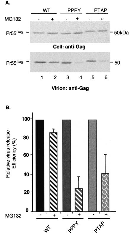 FIG. 6.