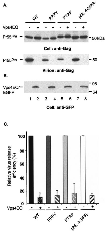 FIG. 5.