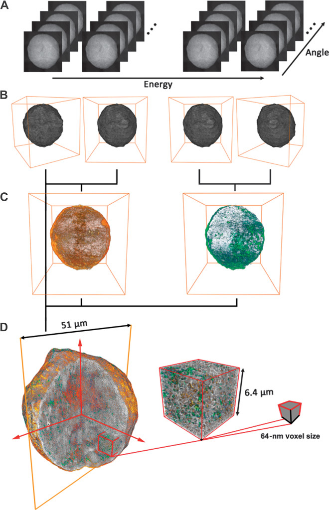 Fig. 2