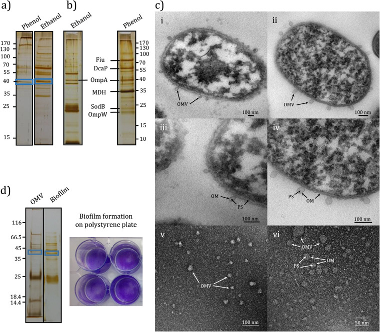 FIG 4