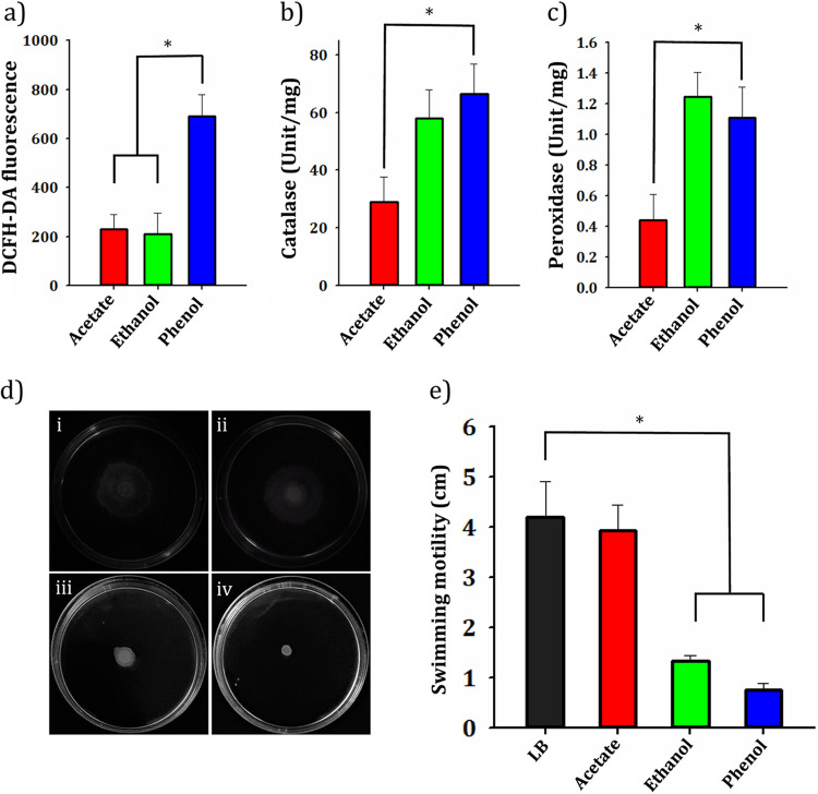 FIG 6