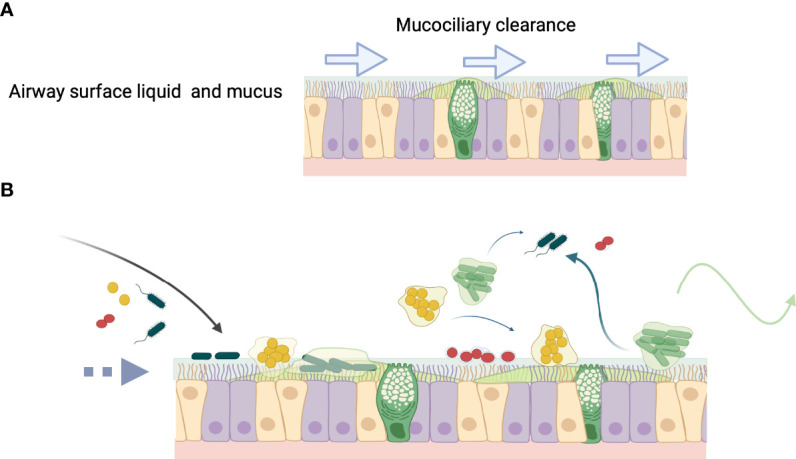 Figure 3