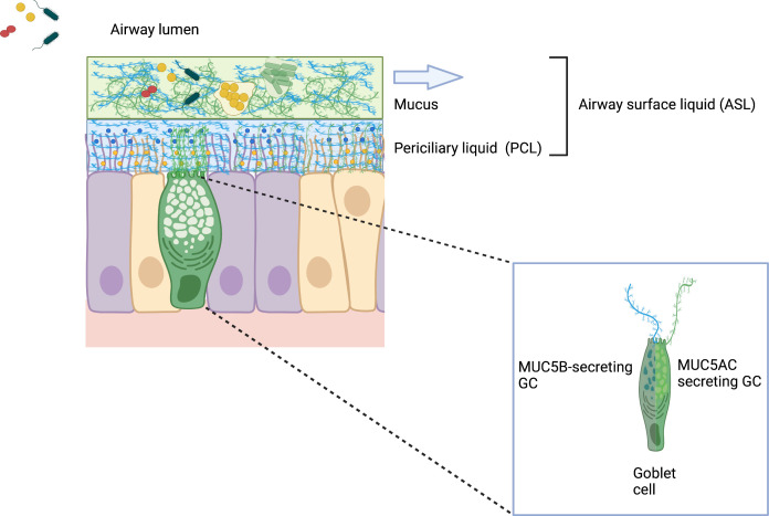 Figure 2