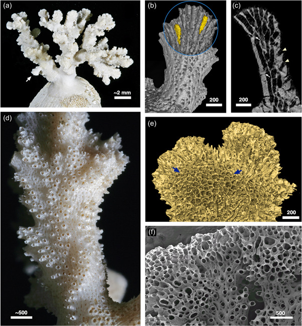 Figure 16