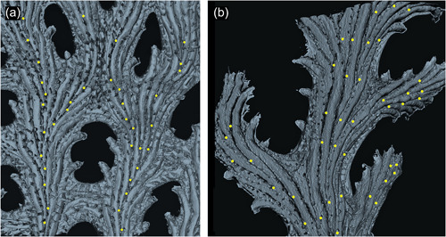 Figure 12