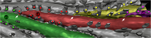 Figure 10