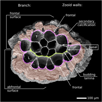 Figure 13