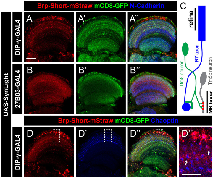 Figure 4.