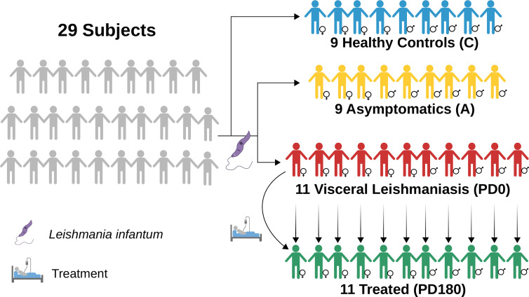 Figure 1