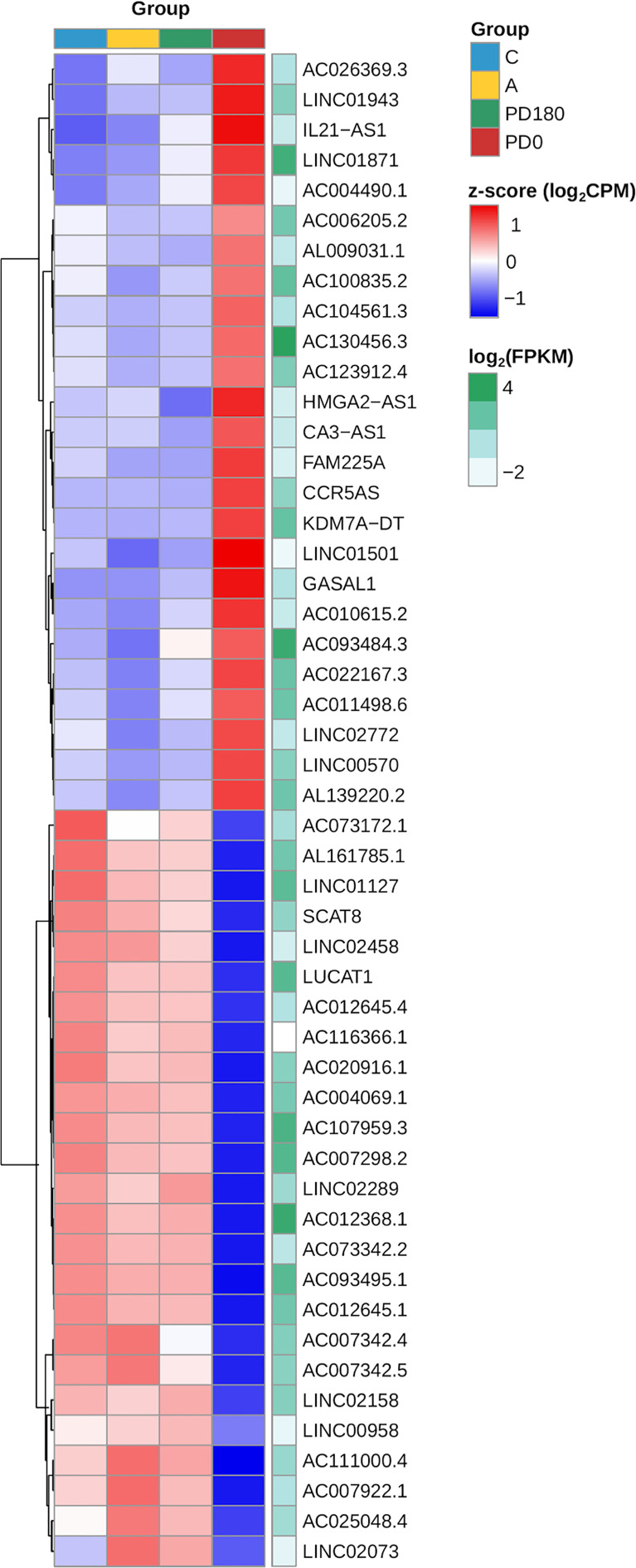 Figure 6