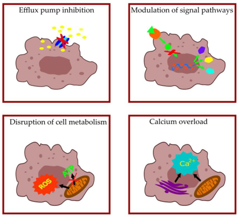 Figure 5