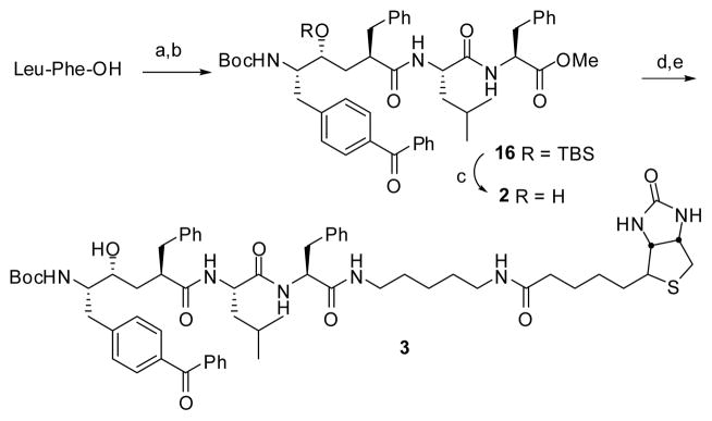 SCHEME 3