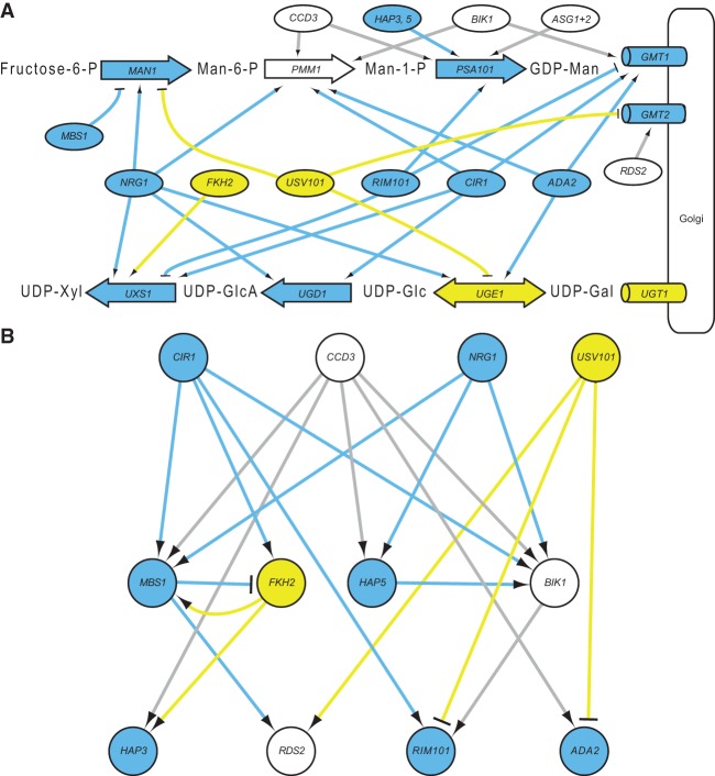 Figure 7.