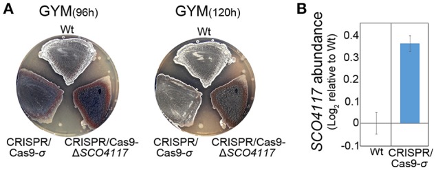 Figure 4