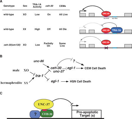 Figure 6.