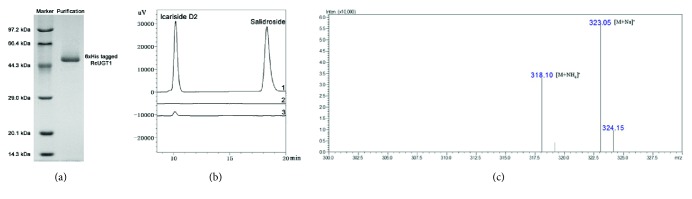 Figure 5