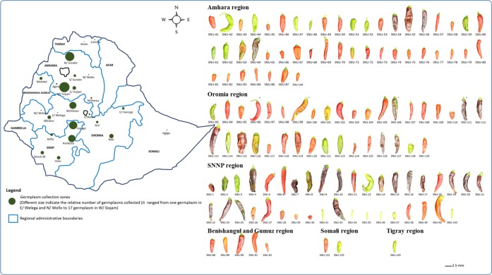 Fig 1