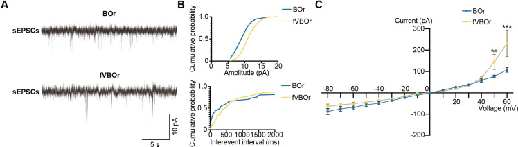 Figure 5—figure supplement 2.