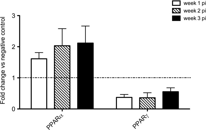 FIG 6