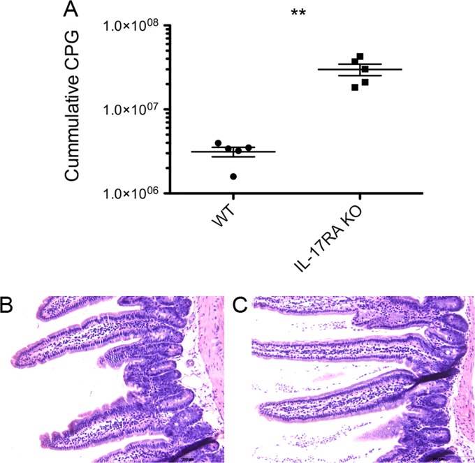 FIG 4