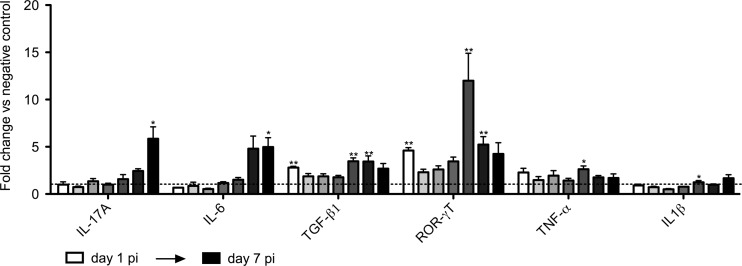 FIG 3