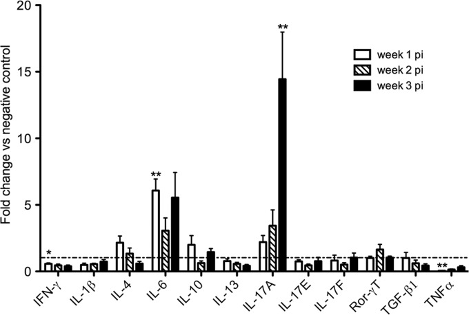 FIG 2