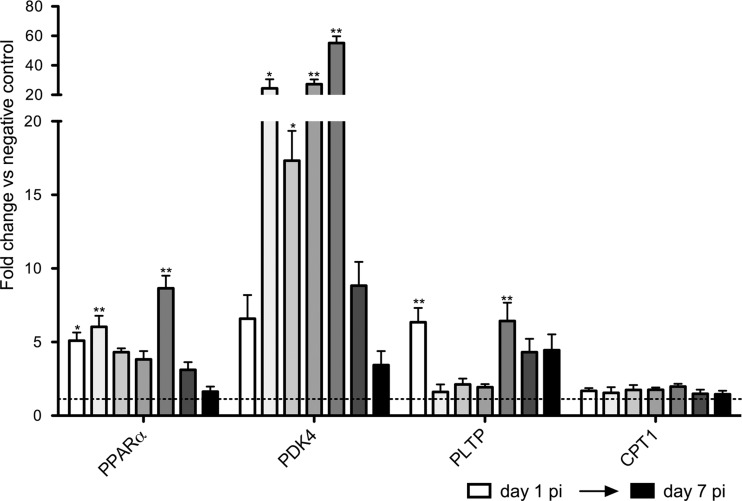 FIG 7