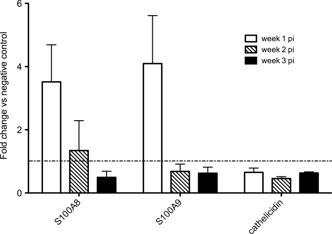 FIG 5