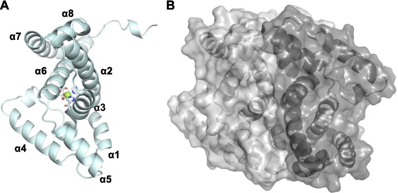 Fig. S1.