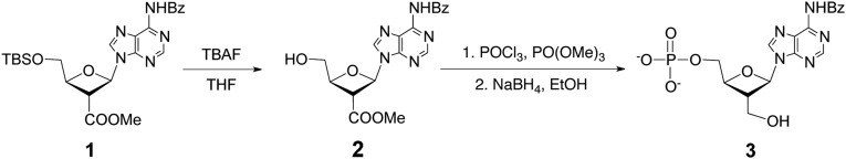 Scheme S1.