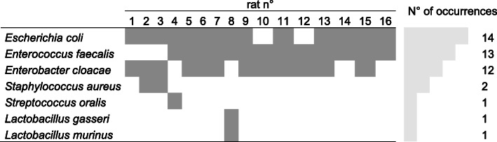 graphic file with name 40635_2020_310_Tab1_HTML.jpg