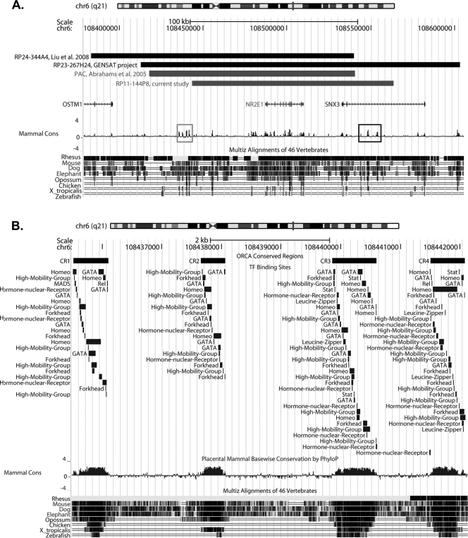 Fig 12