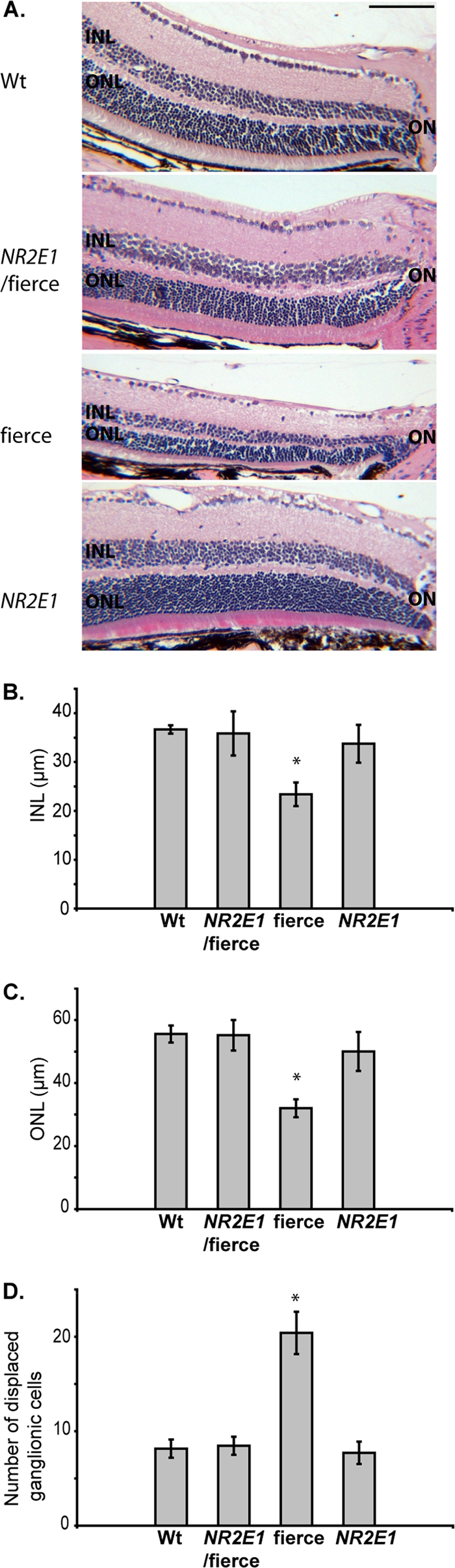 Fig 10