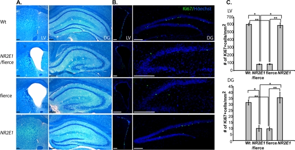 Fig 8