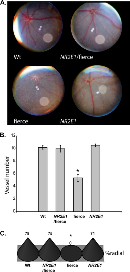 Fig 9