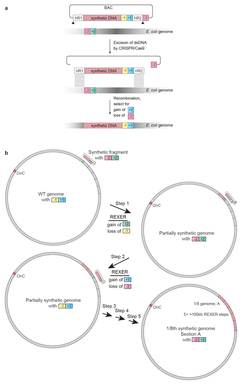 Extended Data Fig. 1