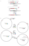 Extended Data Fig. 1