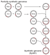 Fig. 3