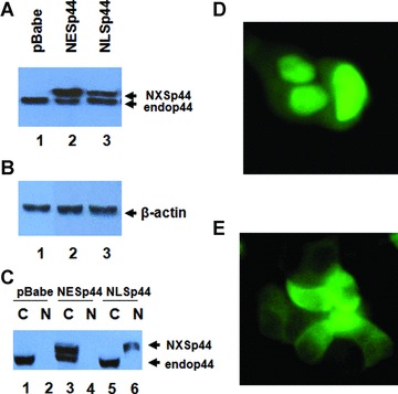 Fig 3