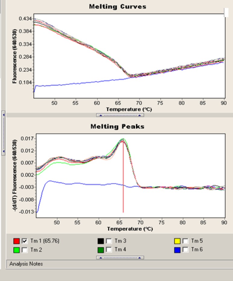 Fig.3