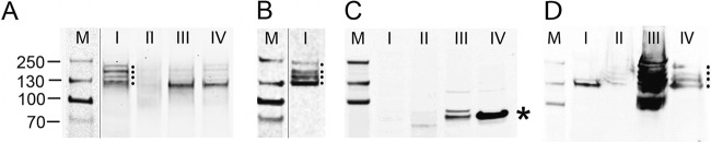 FIG 10