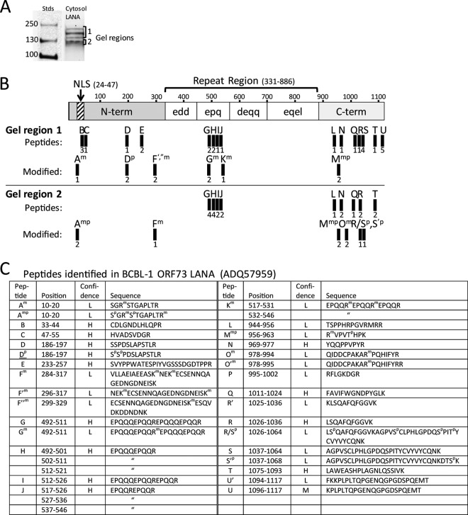 FIG 11