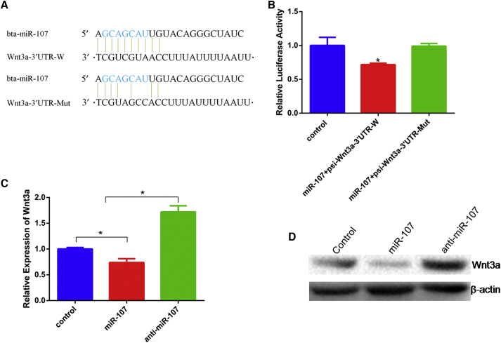 Figure 5