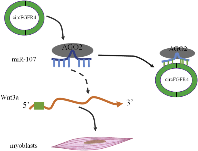 Figure 10